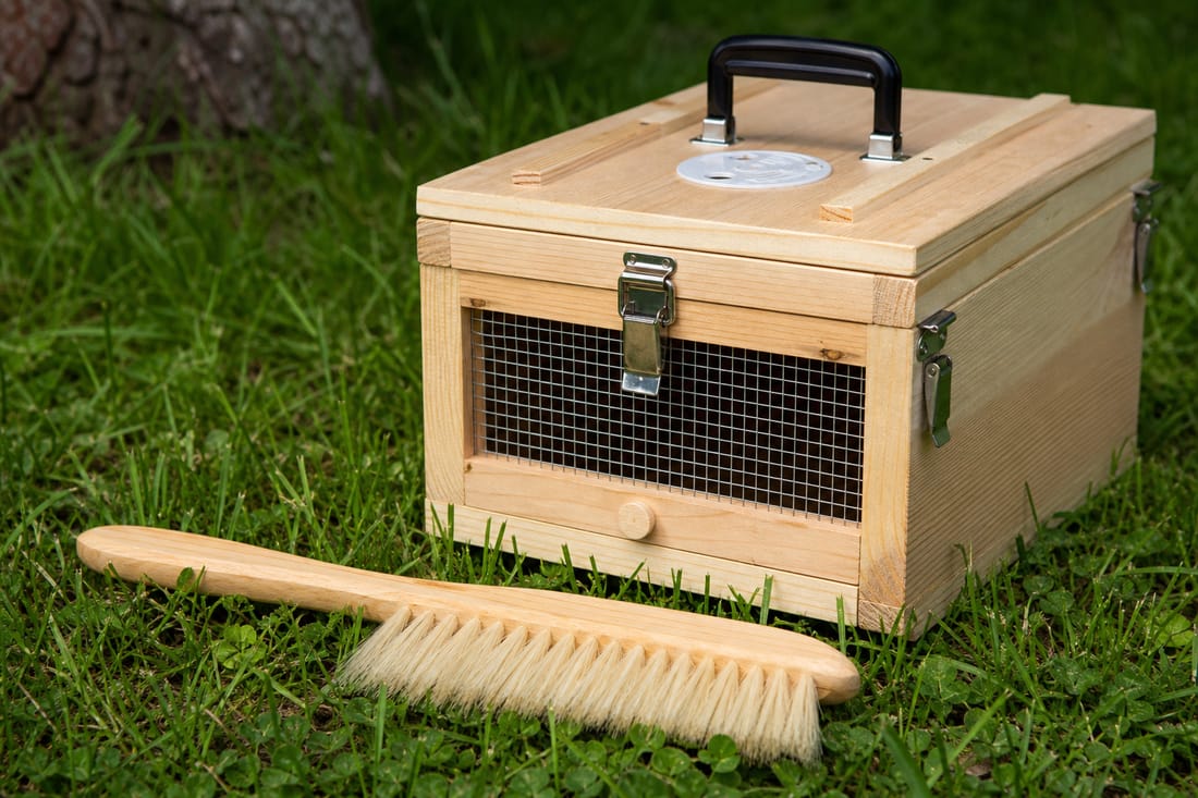 Beispiel: professionelles Material zur Bienenumsetzung
