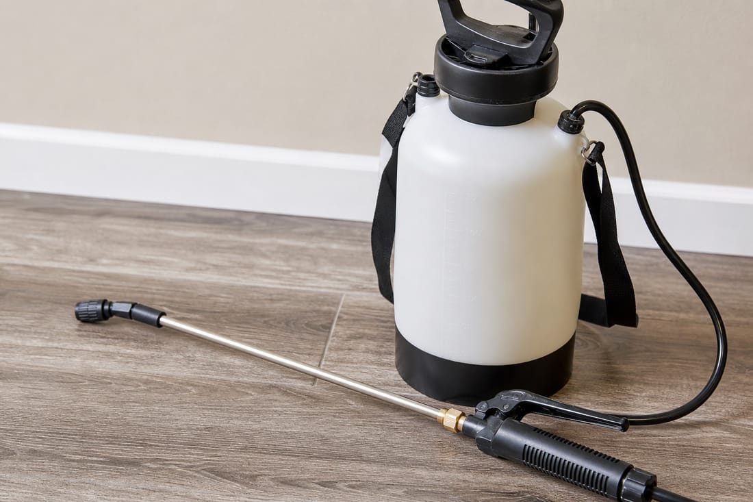 Beispiel: professioneller Sprüher für die Flohbekämpfung