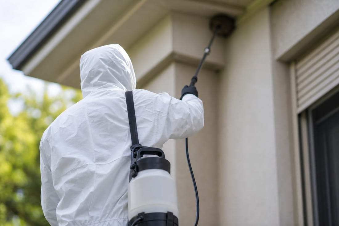 Beispiel: Techniker im Schutzanzug behandelt einen Nestbereich, Rücken sichtbar